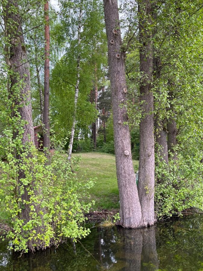 Apartament Comfort W Kujankach Nad Jeziorem Kujanki  Exteriör bild